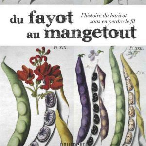 fayot au mange tout