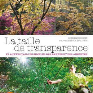 La taille de transparence