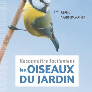 Reconnaître les oiseaux du jardin