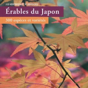 Erables du Japon