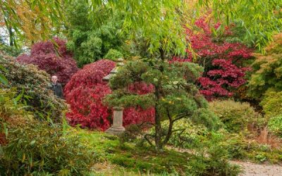 Visite du parc botanique de Haute Bretagne