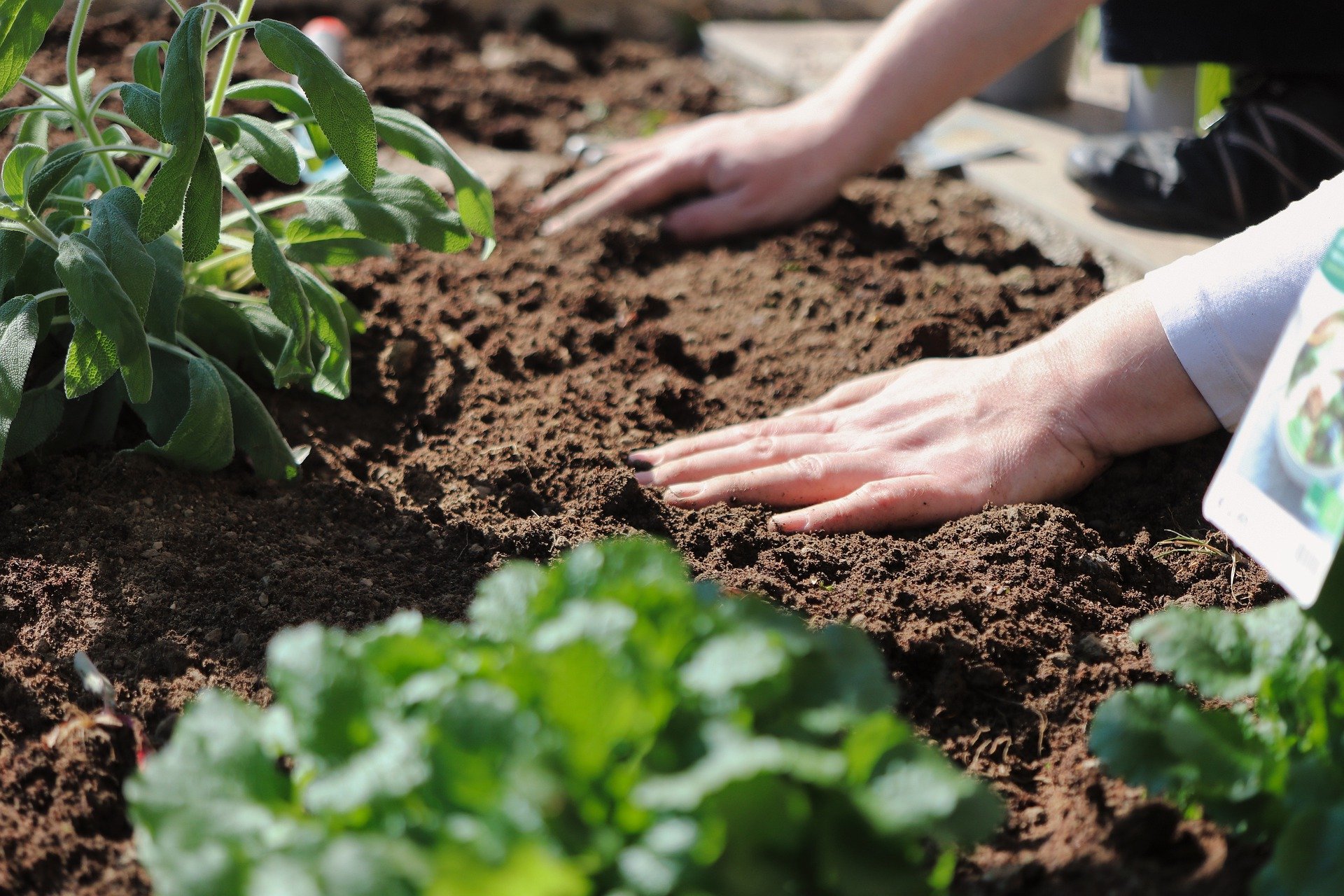conseils-de-jardinage