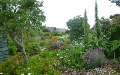 Visites de jardins à Belle ile en mer (18 et 19 Juin 2016)