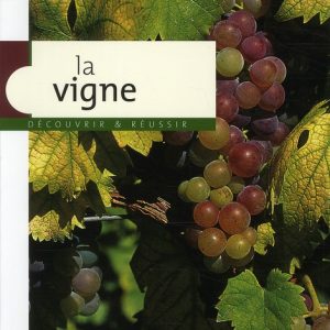 La vigne