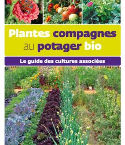 Plantes compagnes au potager