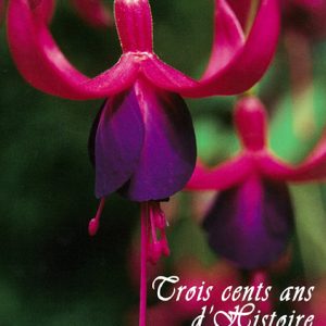 Histoire fuchsias