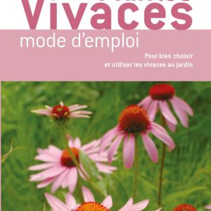 Plante vivace