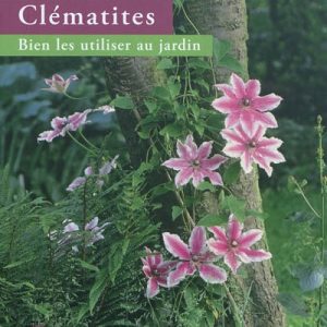 Clématites, bien les utiliser au jardin