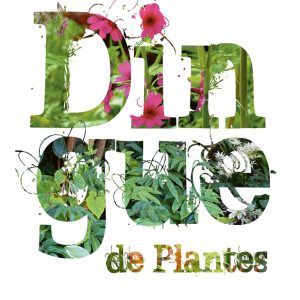 Dingue de plantes