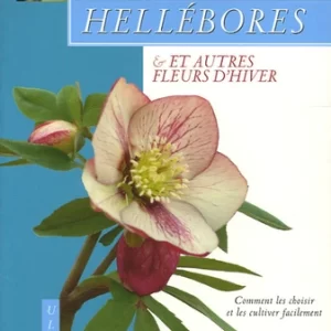 Hellébores