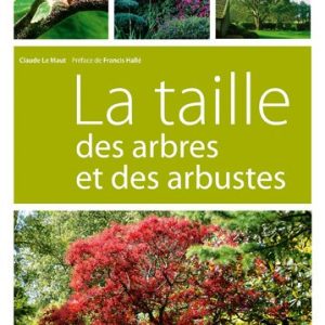 La taille des arbres et arbustes