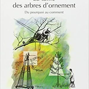 taille ornement