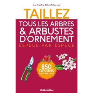 Taillez arbres