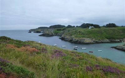 Les plantes voyageuses et explorateurs