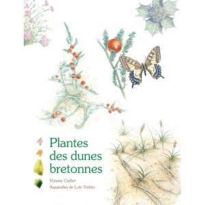 Plantes des dunes bretonnes
