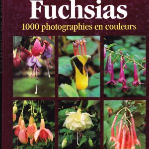 PORTRAITS DE FUCHSIAS