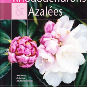 RHODODENDRONS ET AZALEES