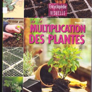 Multiplication des plantes