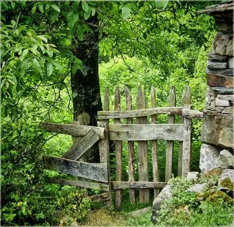 source: free image https://pxhere.com/en/photo/415736
