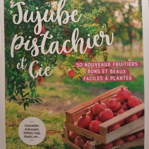 jujube pistachier et cie