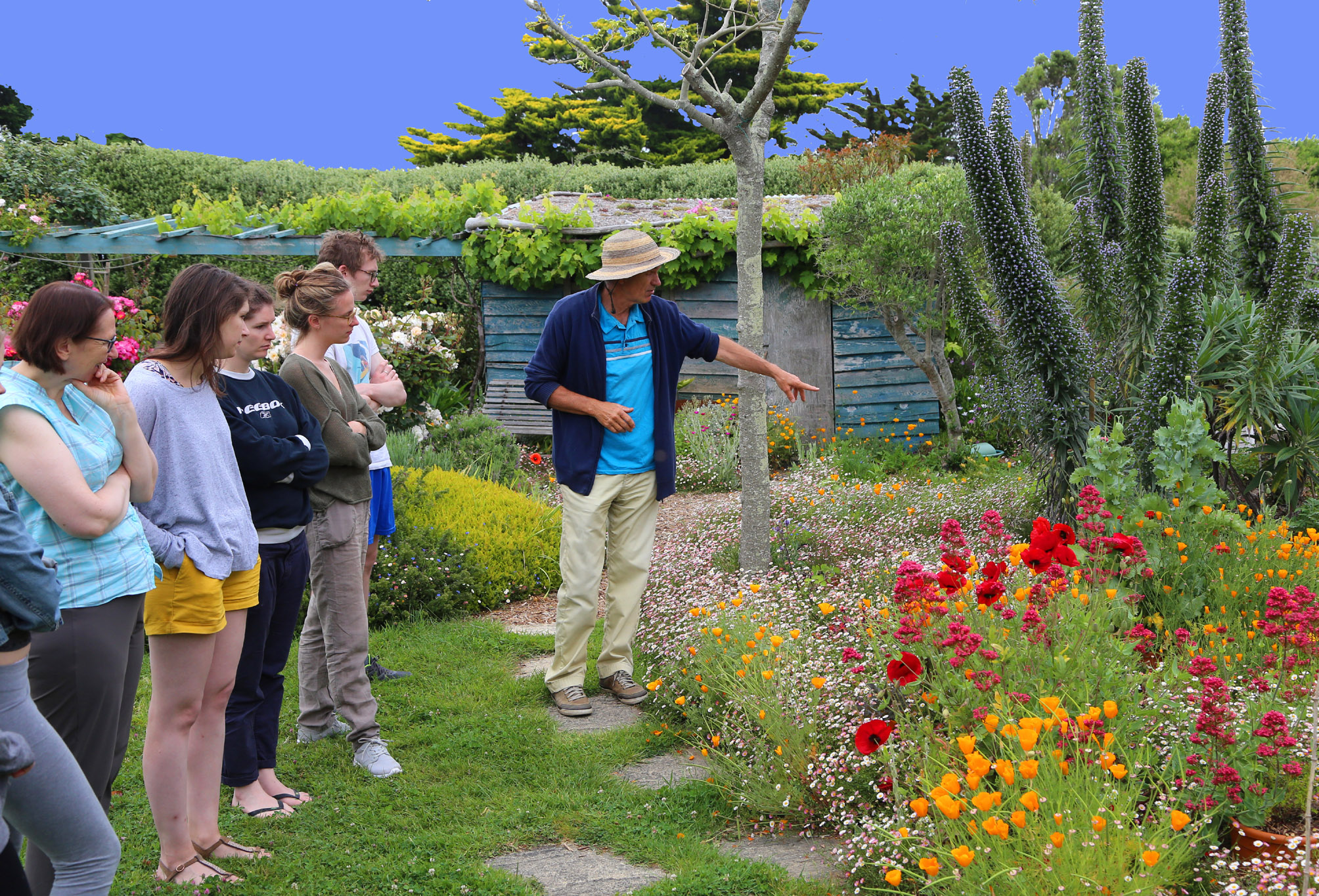 flyer, visite copie