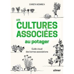 les cultures associées au potager (guide visuel des bonnes associations)