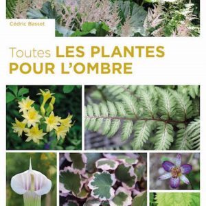 toutes les plantes pour l'ombre