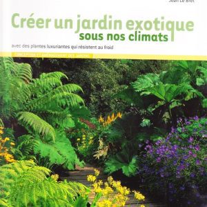 créer un jardin exotique sous nos climats