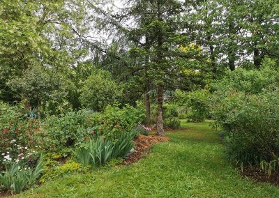 une vue sur les nombreuses chambres de verdure